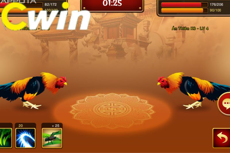 Dưới đây là một số hoạt động cá cược bạn có thể tham gia trên 58Win Gaming - 58Win