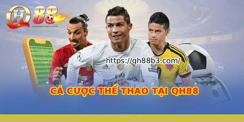 Tôi có nên đăng ký 9Dbet bằng thông tin thật của mình không? - 9Dbet