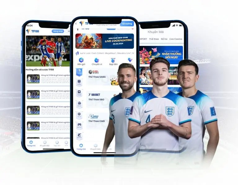 Tác động đến hoạt động và tài chính của P3bet - P3bet
