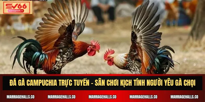 Xs88 Asia độc quyền cung cấp nhiều trò chơi độc đáo và hấp dẫn - Xs88
