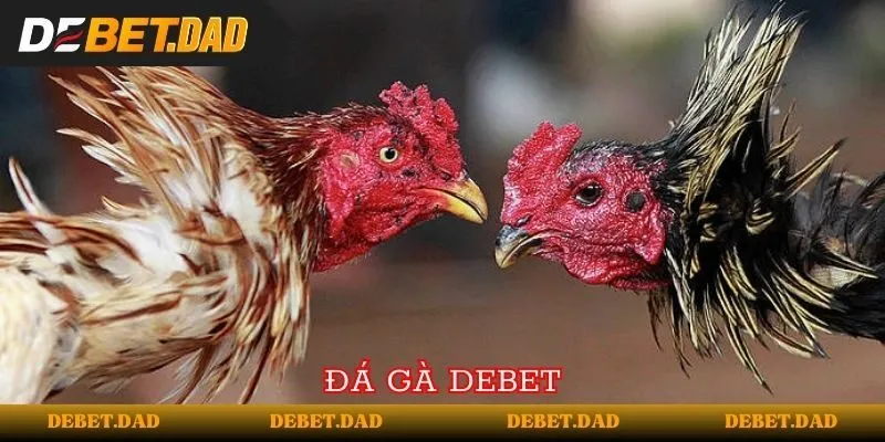 Kiểm soát và tùy chỉnh Jdb66 toàn diện - Jdb66