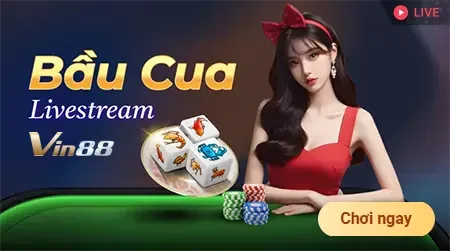 Tổng quan về cửa hàng D9bet nổi tiếng - D9bet