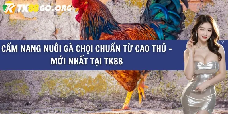 Danh tiếng thực sự ở cấp độ Gemwin? - Gemwin