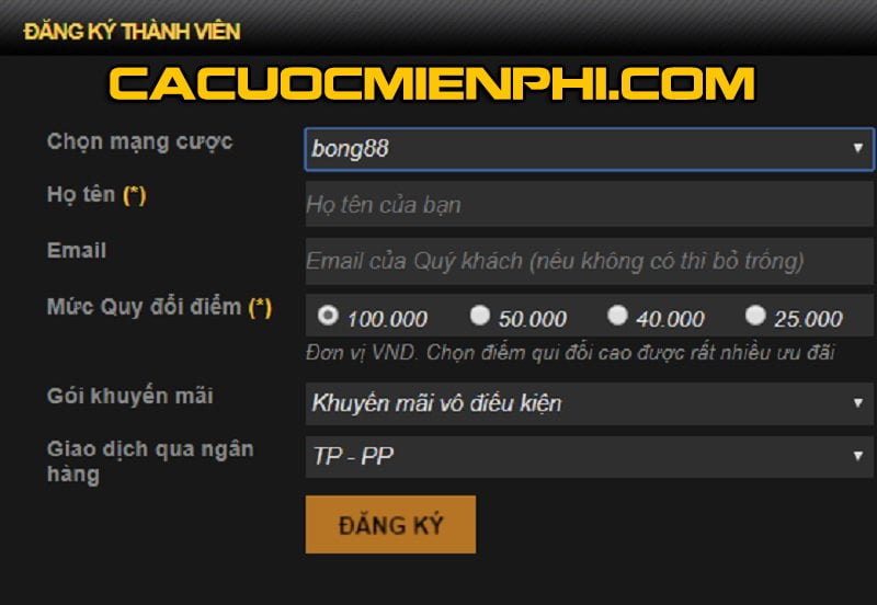 Chuỗi hoạt động quảng bá thú vị và độc đáo của Vn138 - Vn138