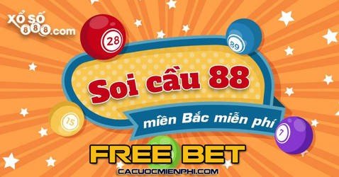 Giấy phép và bảo mật cấp Df999 - Df999
