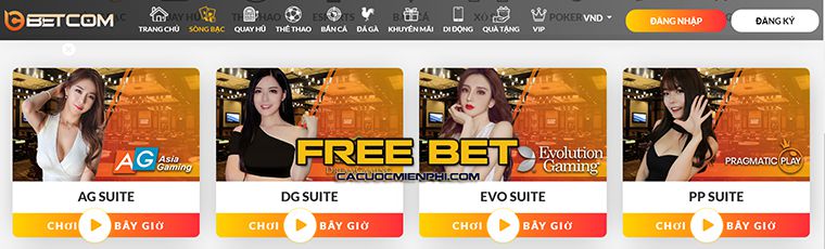 Ưu đãi độc quyền dành cho thành viên mới của Pg88 - Pg88