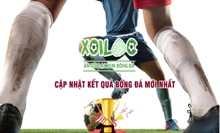Tải xuống Cwin vin apk (iOS/PC) về thiết bị của bạn - Cwin