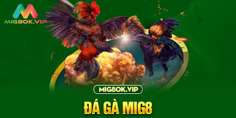 Giải thích sức hút mạnh mẽ của Hl8 Gaming đối với người chơi cá cược - Hl8