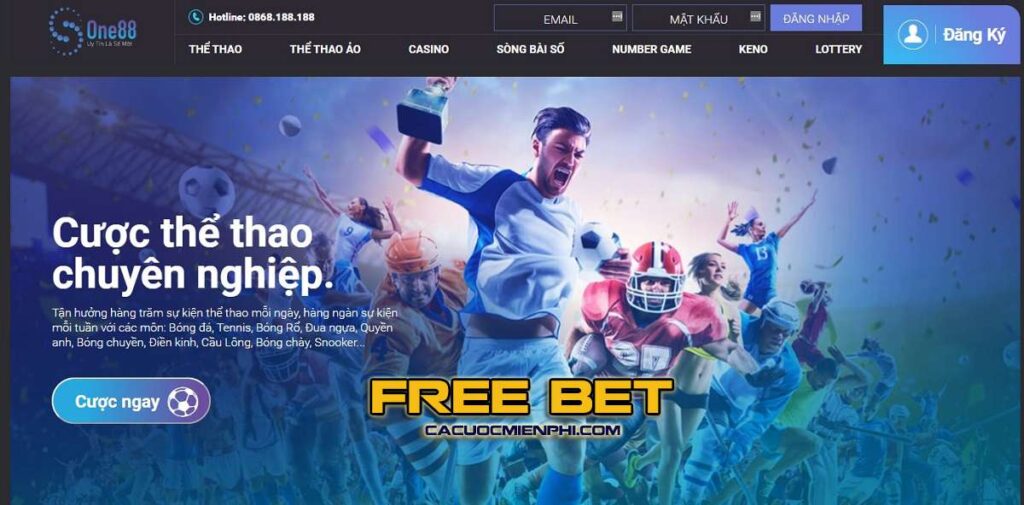Tổng quan về trang web trò chơi D9bet - D9bet