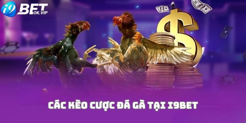Tại sao người chơi lại gặp phải tình trạng chậm trễ khi rút tiền từ Vn88? - Vn88