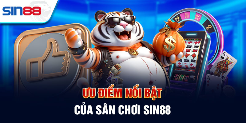 Liệt kê các hạng mục phổ biến nhất cho xếp hạng Cmd368 - Cmd368