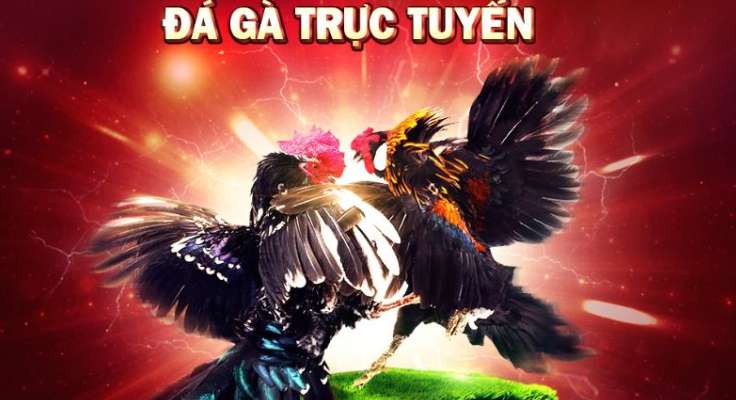 Thông tin cơ bản về nền tảng VIP Gg88 - Gg88